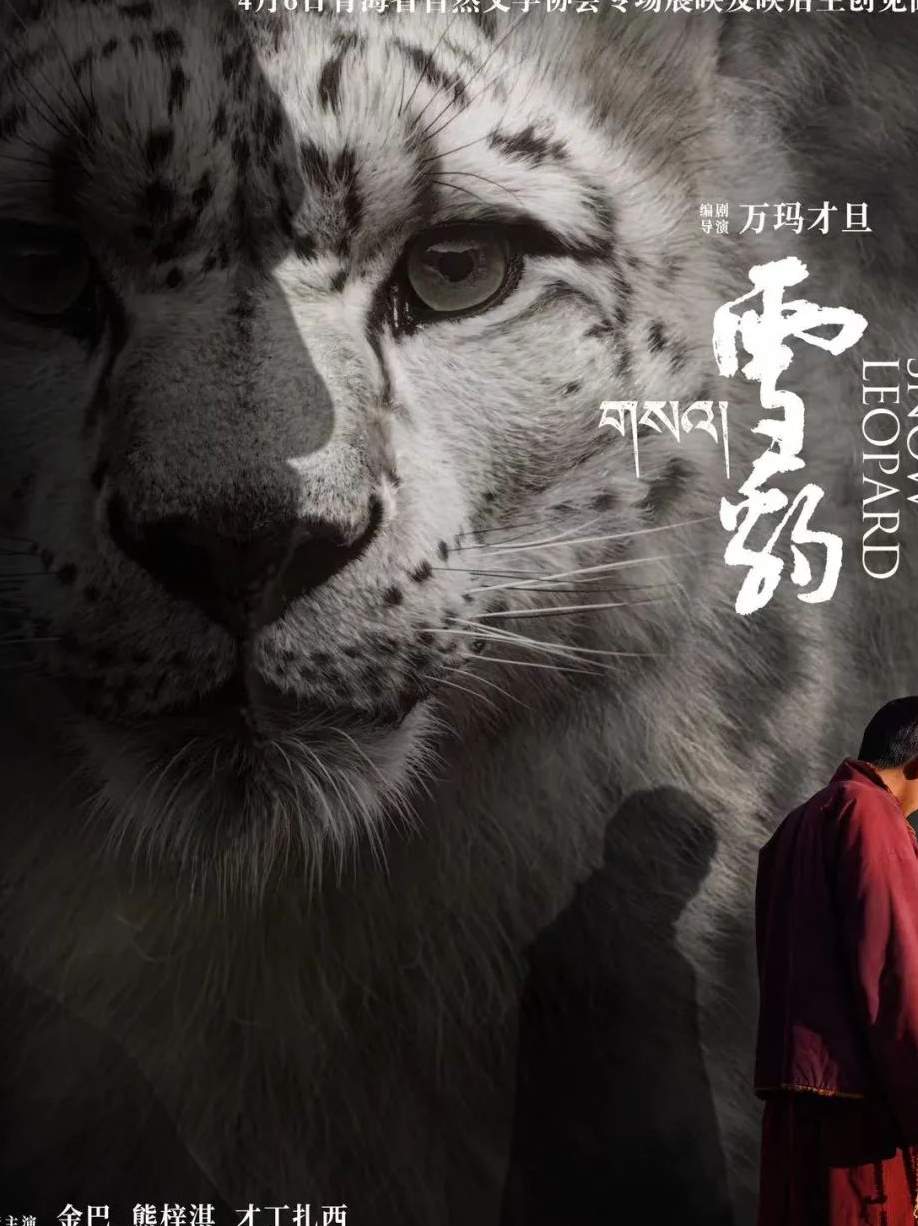 《雪豹》—一部反映青海生态建设的电影佳作 - 锦衣素马